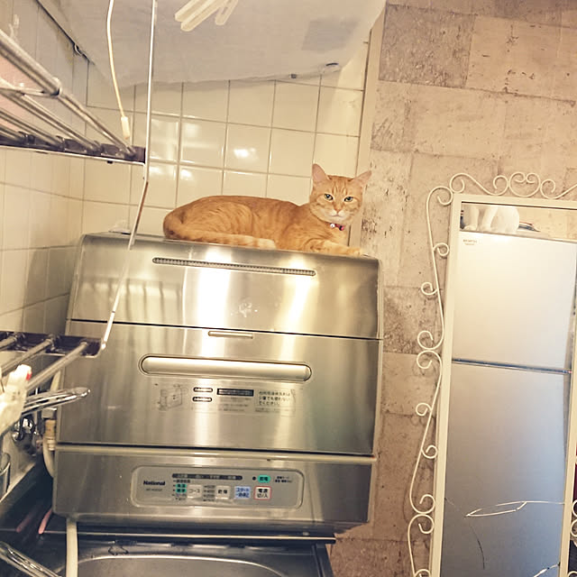 asuminさんの実例写真