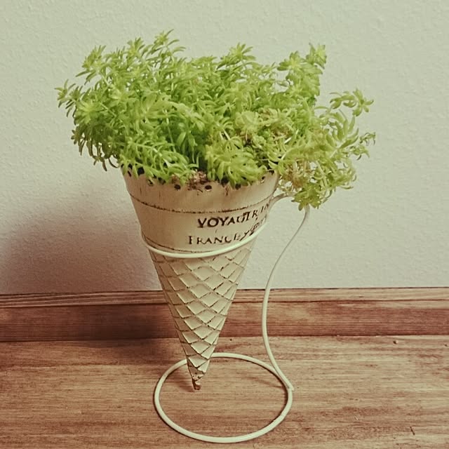Chihiroさんの実例写真