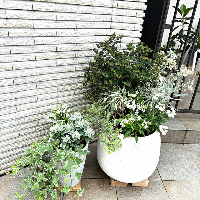 maimai0110さんの実例写真