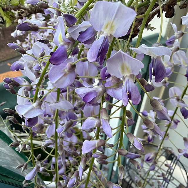 Aqettyさんの部屋