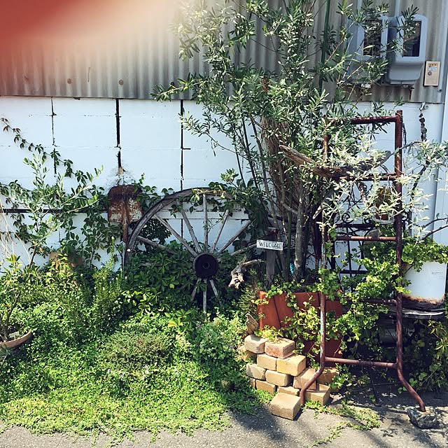 c_hoさんの実例写真