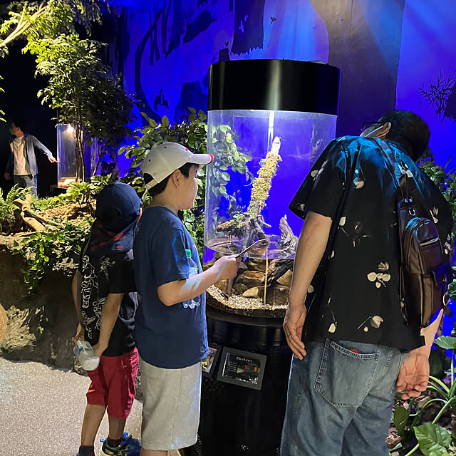 koshiregutyoさんの部屋