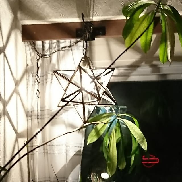 Shinjiさんの実例写真