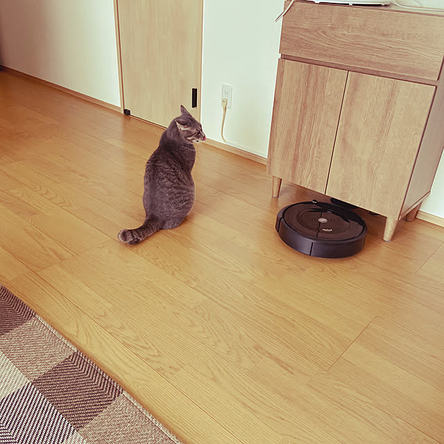 scottieeさんの実例写真