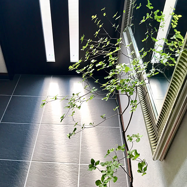 home_m_styleさんの実例写真