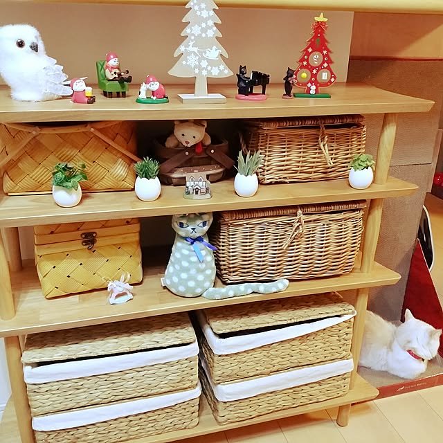 6catsさんの実例写真