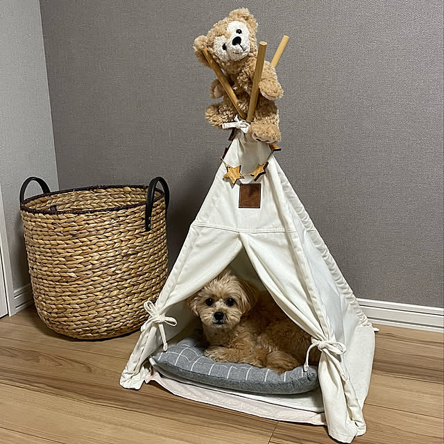 ikt.tamaさんの実例写真