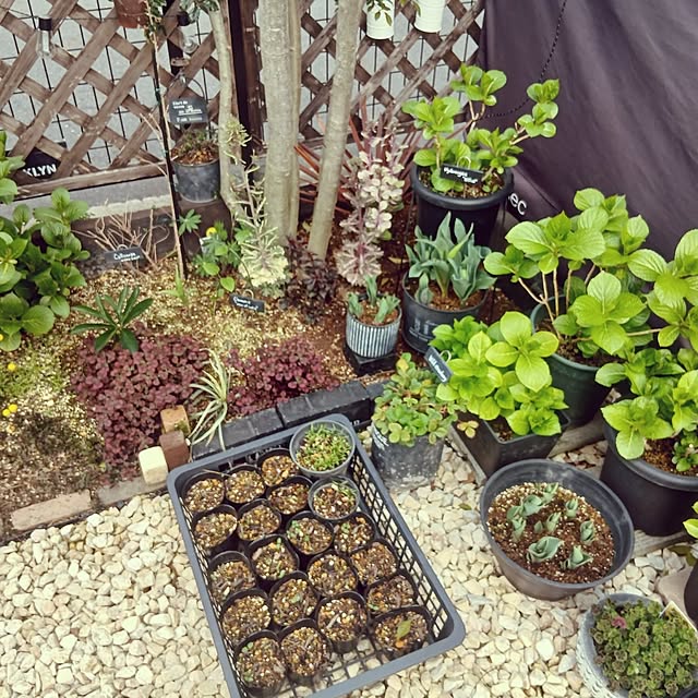 kaanaさんの部屋