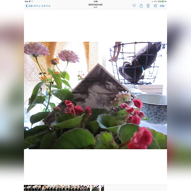 MEMO.2017.REALさんの実例写真