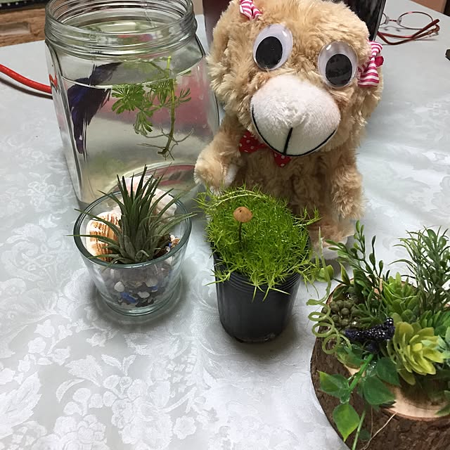 emiさんの実例写真