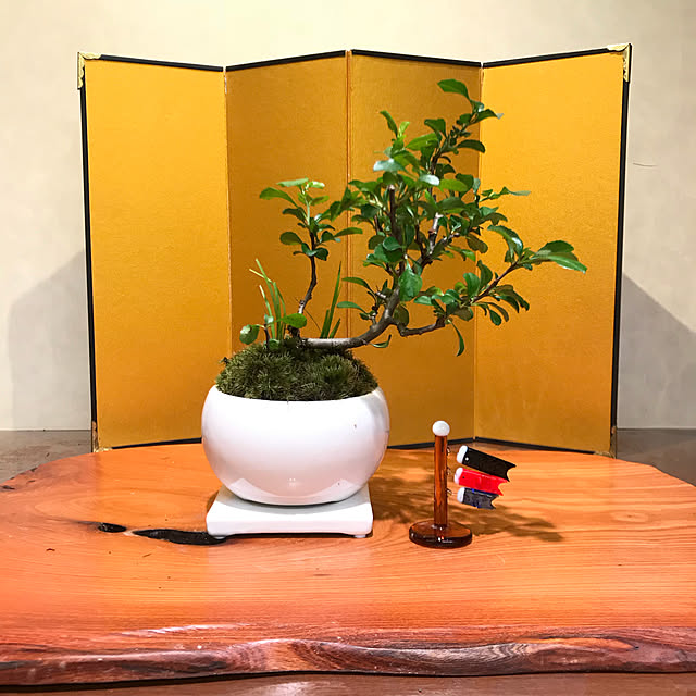 mizucchiさんの実例写真