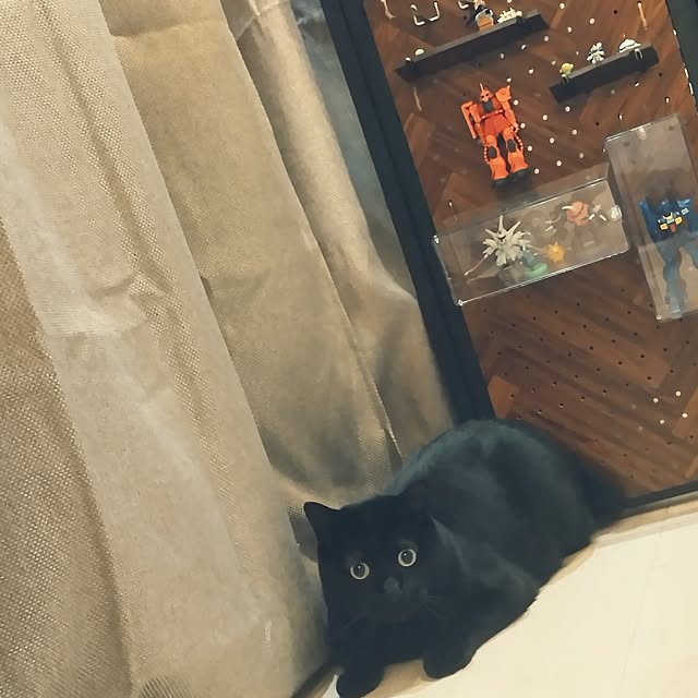 Tさんの実例写真