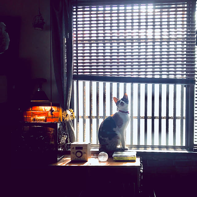 maroさんの実例写真