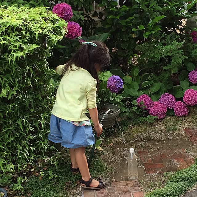 tingoさんの実例写真