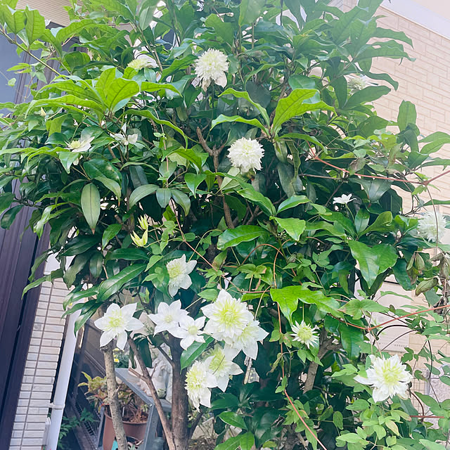 mo-nosukeさんの部屋