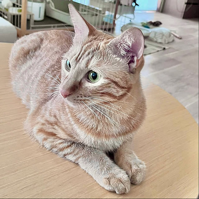 golf21さんの実例写真
