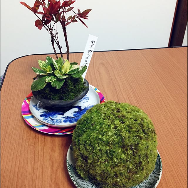 lockさんの実例写真