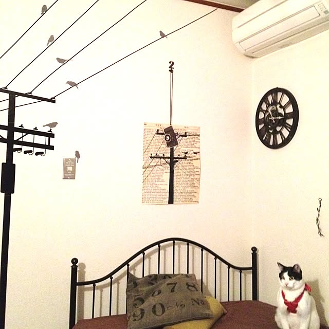 shishaさんの実例写真