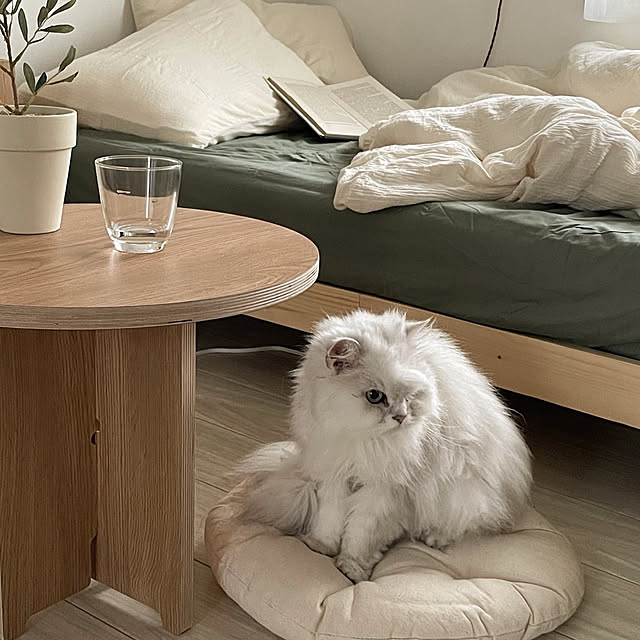 emu.さんの部屋