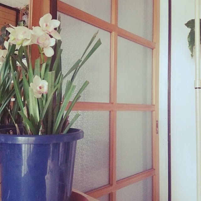 kyoppさんの実例写真