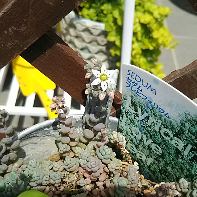 kaoranさんの実例写真