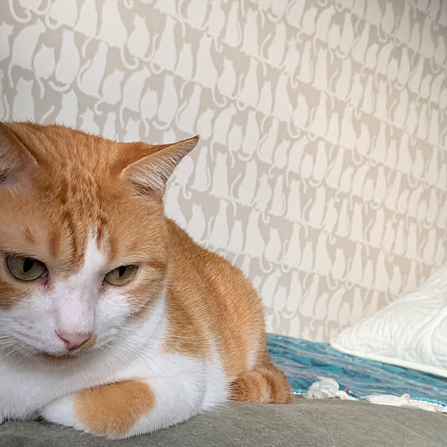 73さんの実例写真