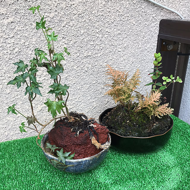 sakuranboさんの実例写真