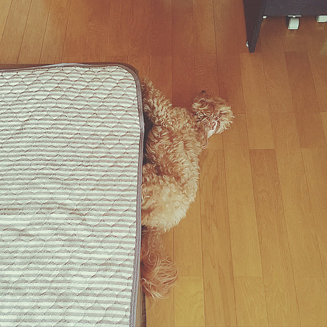 Rさんの実例写真