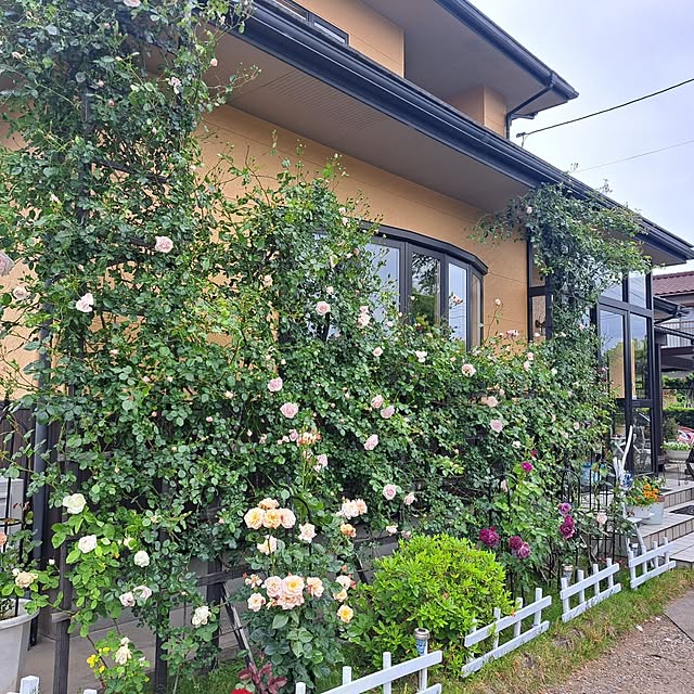 exileingkさんの部屋
