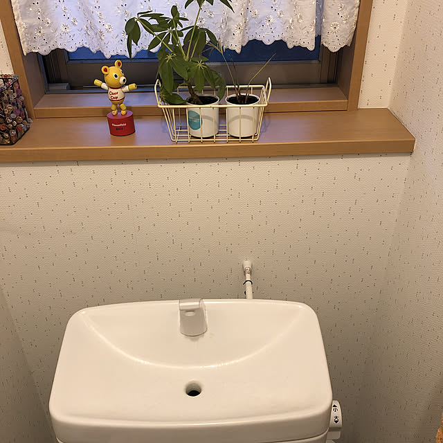 aqoさんの実例写真
