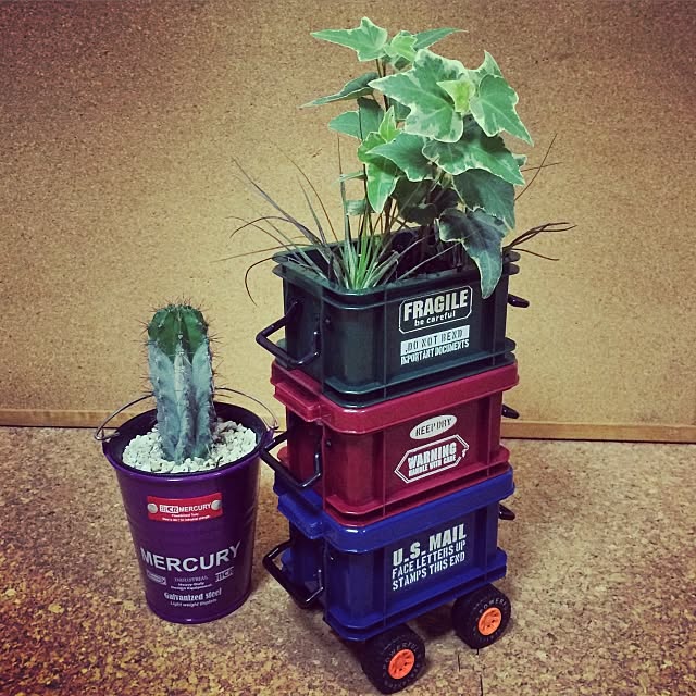 itibokunさんの実例写真