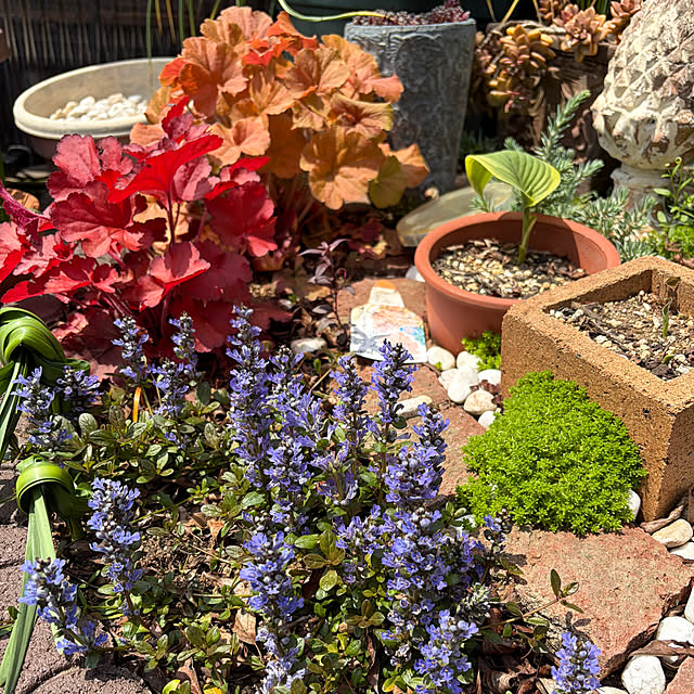 makaさんの実例写真