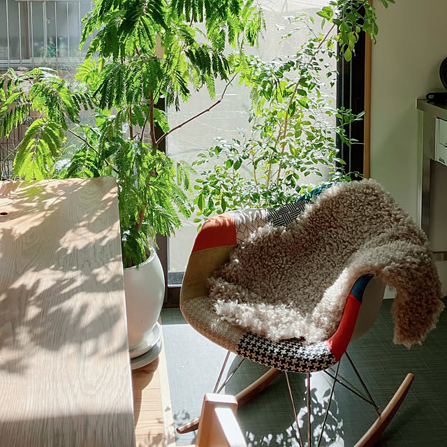 akanekoさんの部屋