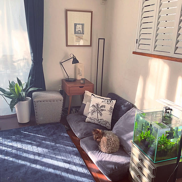 kuroさんの部屋