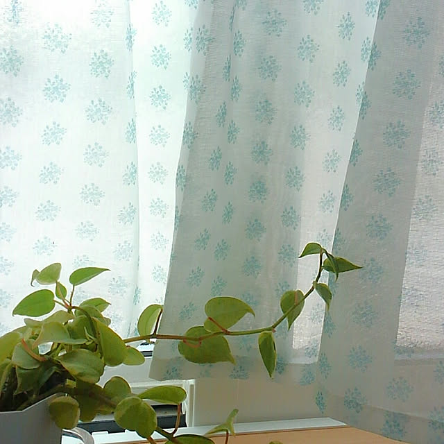 ianorさんの実例写真