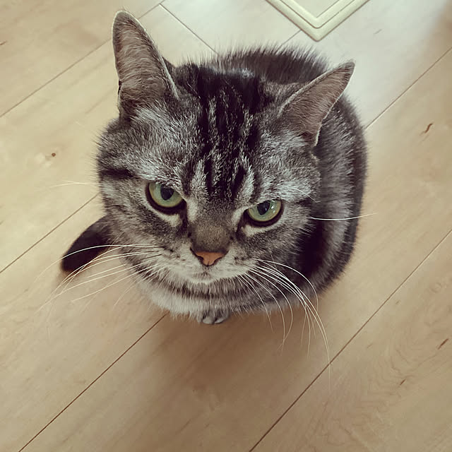 richanさんの実例写真