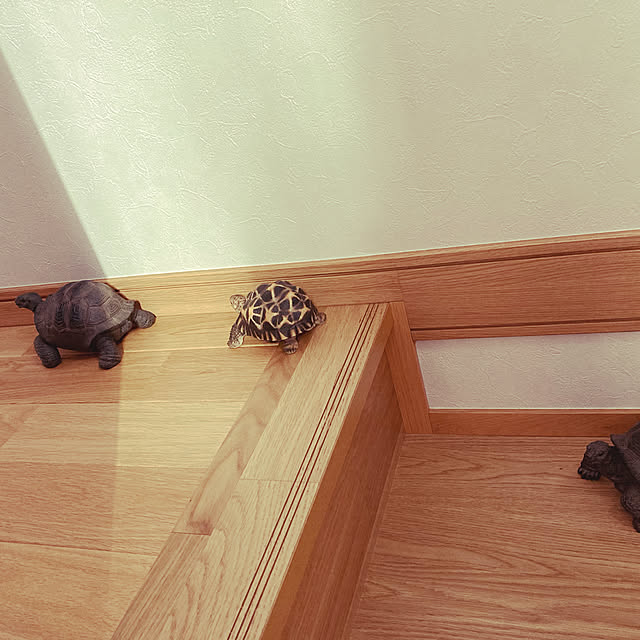 sachiさんの実例写真