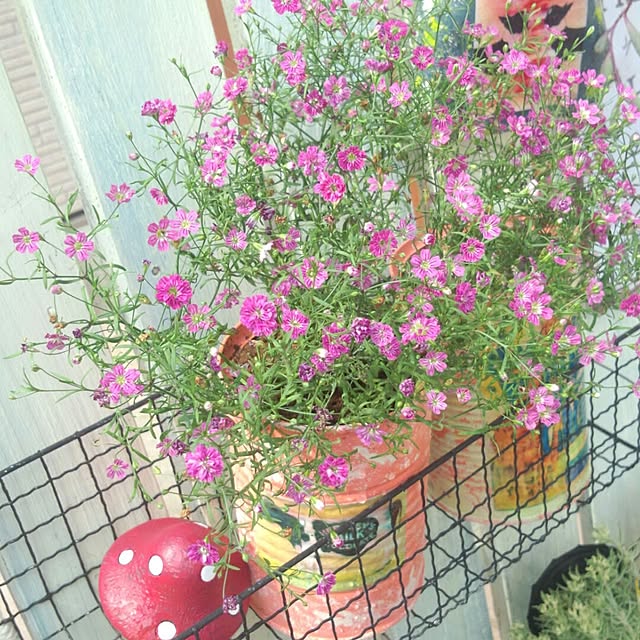 misaさんの実例写真