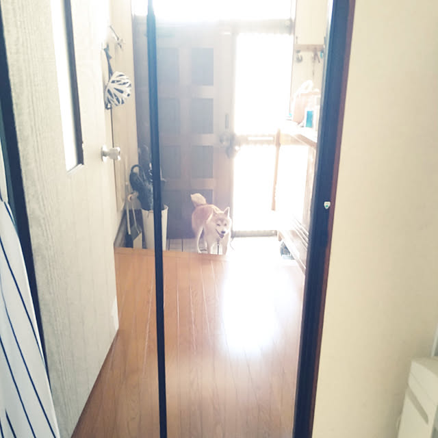 fruityanさんの実例写真