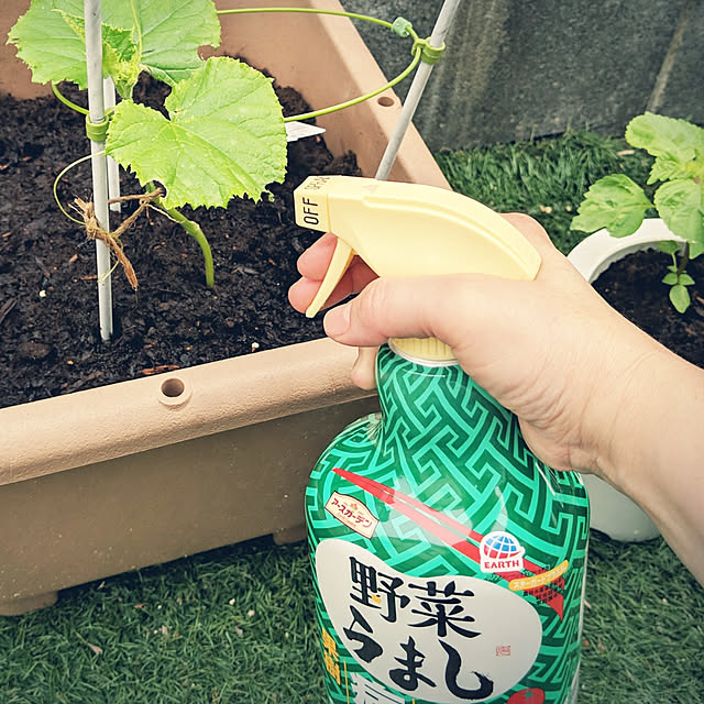 HIROMINさんの実例写真