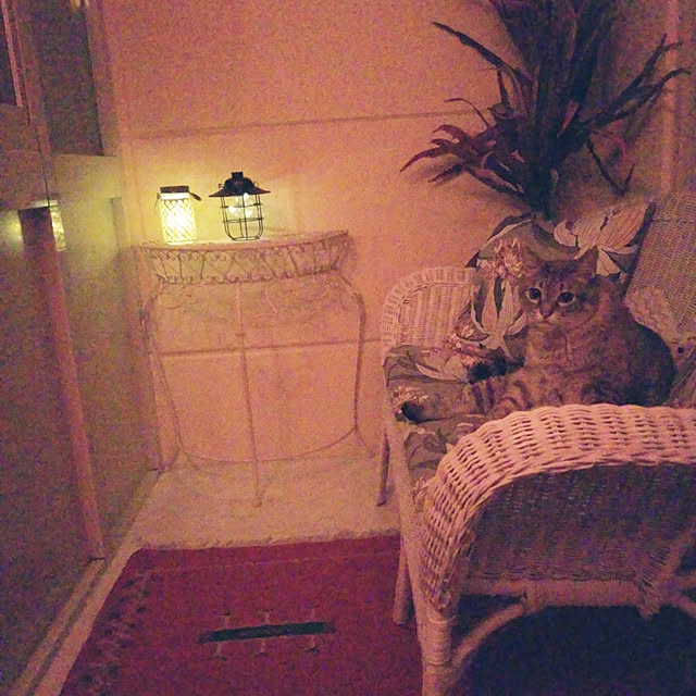 neoさんの実例写真