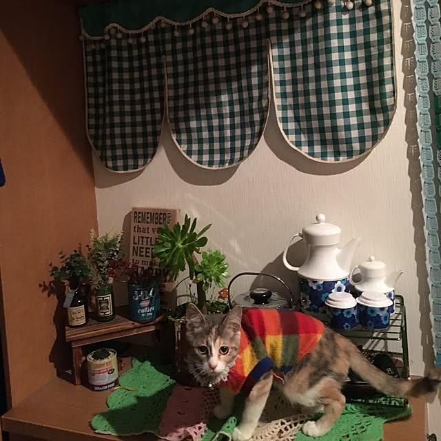 tubacoco88sooさんの実例写真