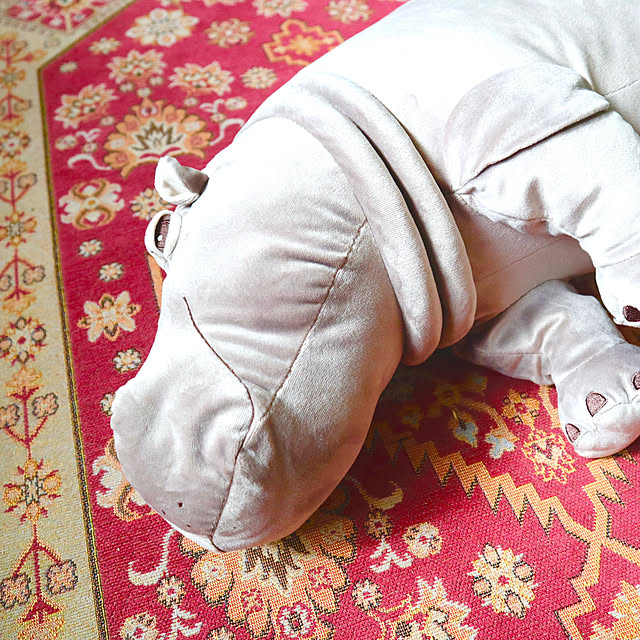 rukakoさんの部屋