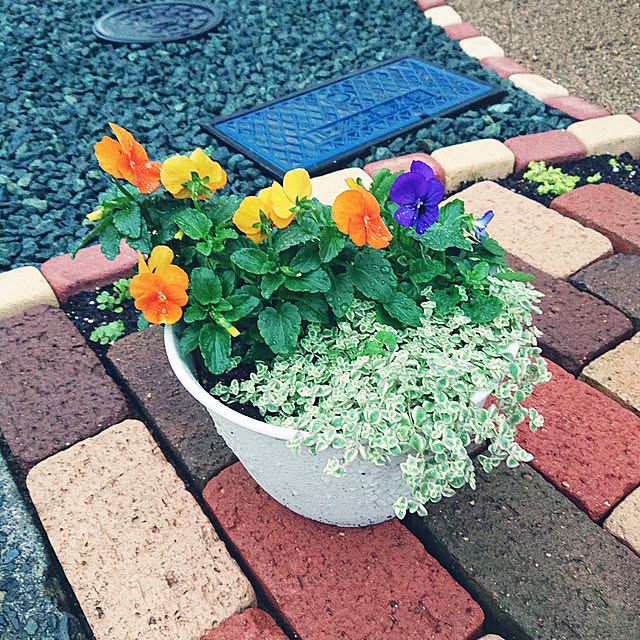 yamakawaさんの実例写真
