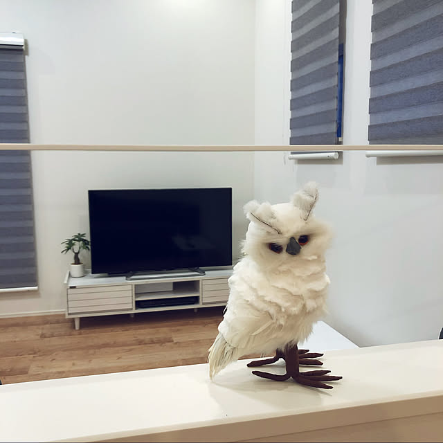 m.m23さんの実例写真