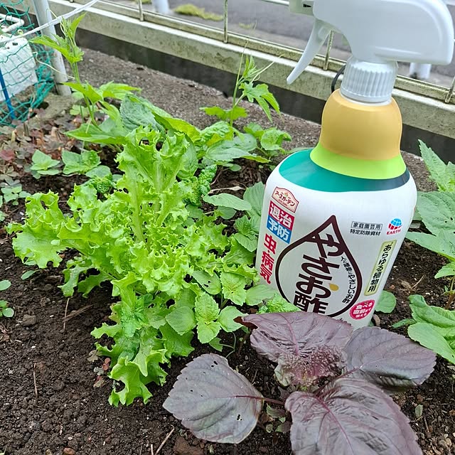 midoriさんの部屋