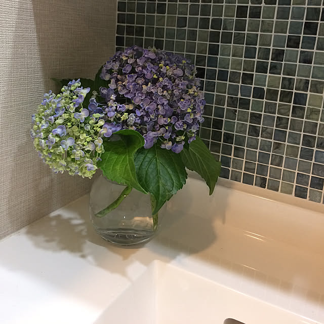 Rieさんの実例写真