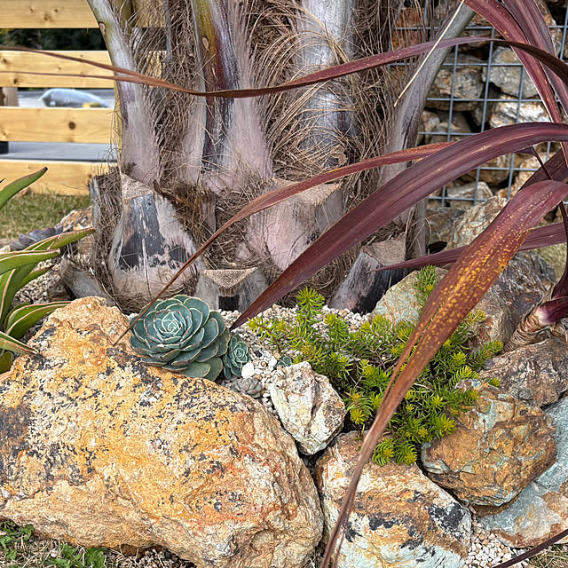 bonjiri0824さんの実例写真