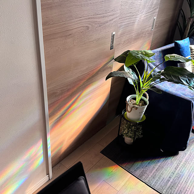 aureaさんの部屋