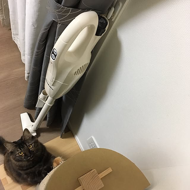 mikomaruさんの実例写真